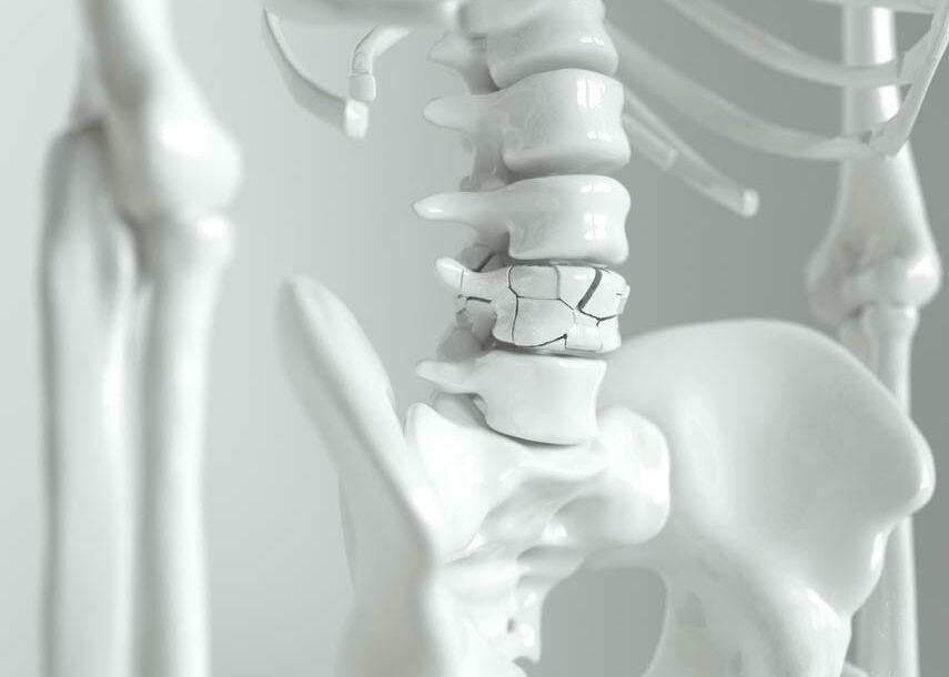 Osteologie - Ein Schwerpunkt der orthopädisch-osteopathischen Praxis Dr. med. Christine Meyer in Meppen
